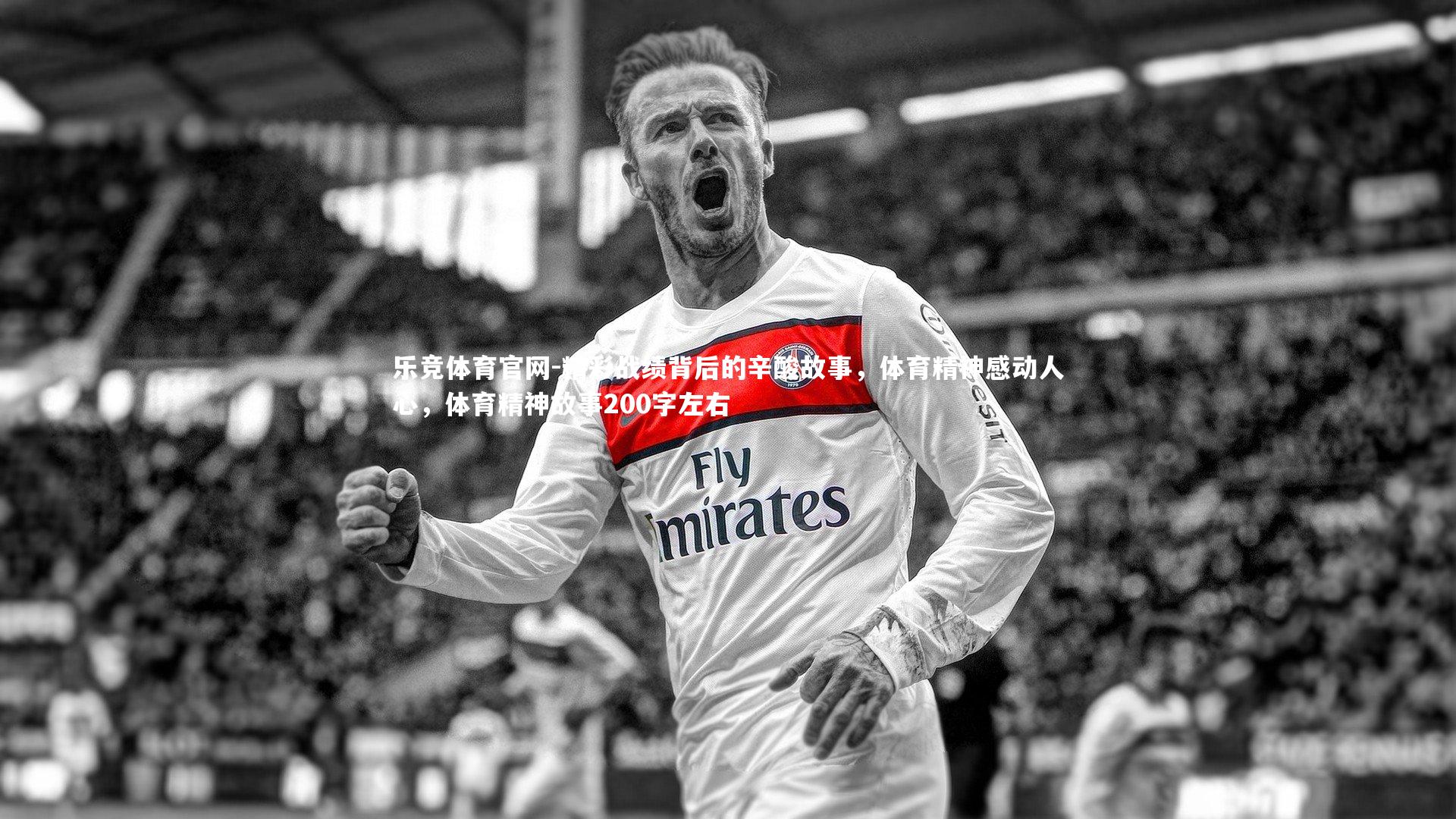 精彩战绩背后的辛酸故事,体育精神感动人心,体育精神故事200字左右