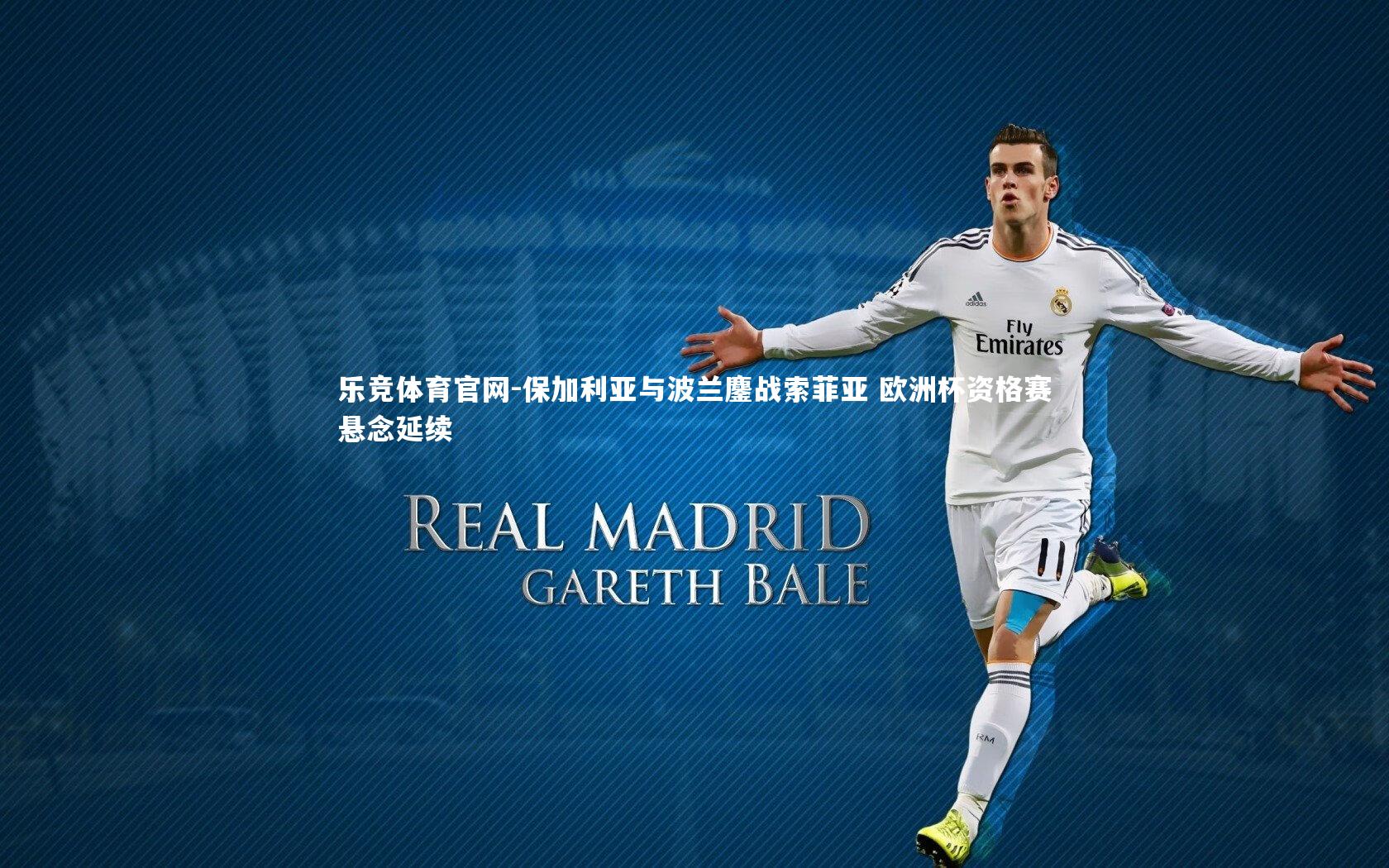 乐竞体育官网-保加利亚与波兰鏖战索菲亚 欧洲杯资格赛悬念延续