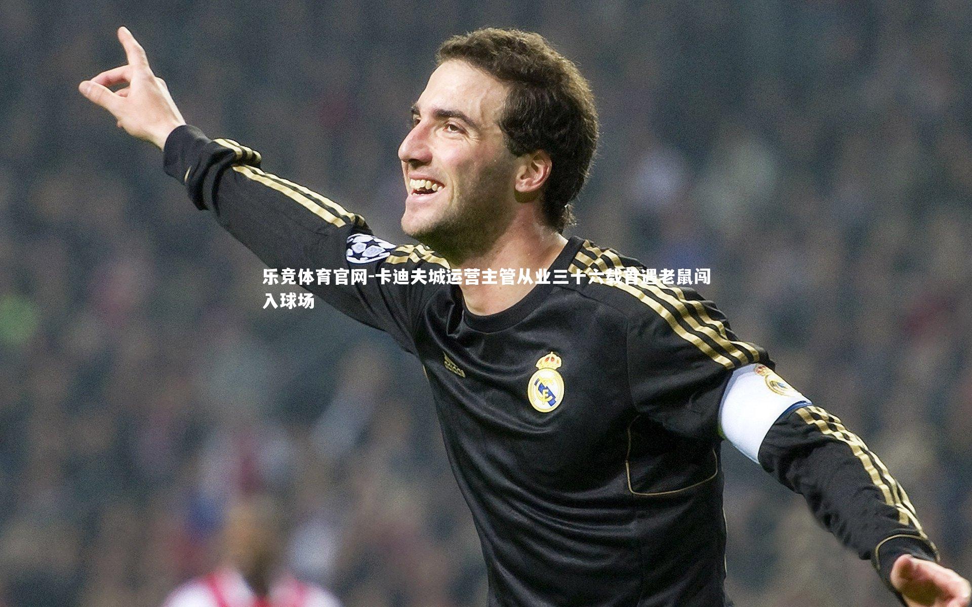 卡迪夫城运营主管从业三十六载首遇老鼠闯入球场